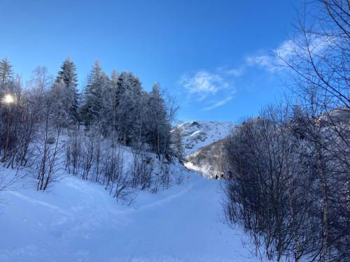 a snow covered slope with trees and a mountain at Domaine aux souvenirs denfance in Bénaix