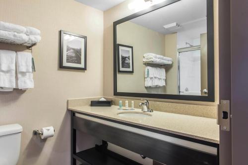 Quality Inn & Suites Kingston في كينغستون: حمام مع حوض ومرآة كبيرة