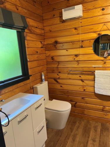 a bathroom with a toilet and a sink at Hanmer Hideaway in Hanmer Springs