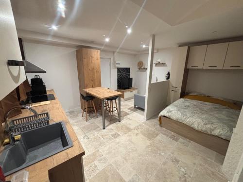 Il comprend une chambre avec un lit et une cuisine avec un évier. dans l'établissement Charmant appartement, à Nancy
