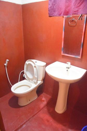 a bathroom with a toilet and a sink at Diyathalawa Chandrika Villa in Diyatalawa