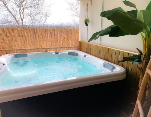 a hot tub in a room with a potted plant at La Terrasse Enchantée, Romance, Cosy et Jacuzzi in Belin-Beliet