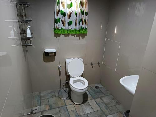 a bathroom with a toilet and a sink at MilVir Tourist INN in El Nido