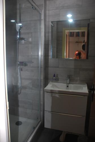 une salle de bain avec une douche, un lavabo et un miroir dans l'établissement PORT-LEUCATE - PROXIMITE PLAGE - 4 personnes, à Leucate-Plage