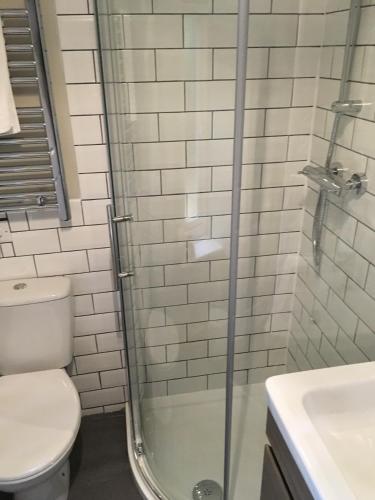 a bathroom with a shower and a toilet and a sink at Le Chateau in Cadnam