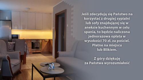 a living room with a couch and a kitchen at Spokojny Wypoczynek 4 in Ostrów Wielkopolski