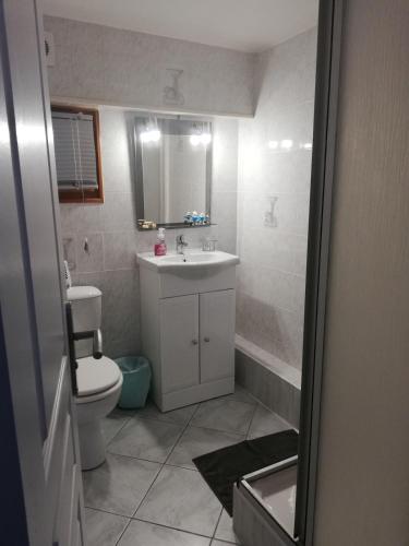 une salle de bain avec un lavabo, des toilettes et un miroir dans l'établissement Gîte au coeur d'un joli village de Seine et Marne, à Boulancourt
