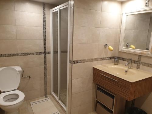 une salle de bain avec une douche, des toilettes et un lavabo dans l'établissement Chez Camille et Lolo, à La Mure