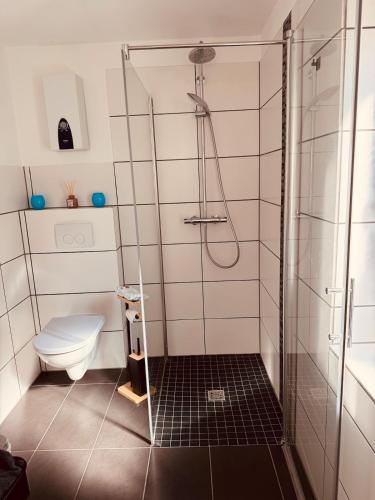 a bathroom with a shower and a toilet at Ferienwohnung im Grünen in Witten