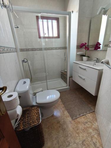 a bathroom with a shower and a toilet and a sink at Sea Carnation Well Located, Pool & Terrace in Los Pocillos