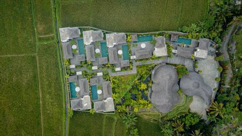 an overhead view of a garden in a field at E Sanctuary Resort Ubud in Ubud