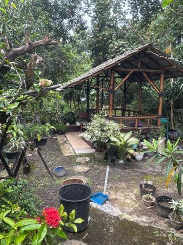 SumedangにあるTop Palaceの鉢植えの木造パビリオンのある庭園