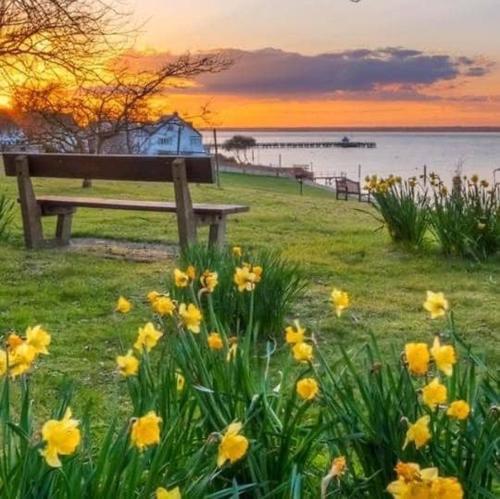 Příroda nedaleko prázdninového domu