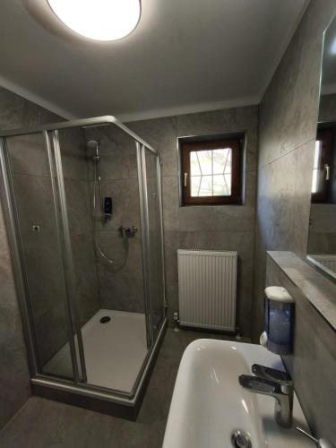 a bathroom with a shower and a sink at Spacious Room in Modern Flat in Innsbruck