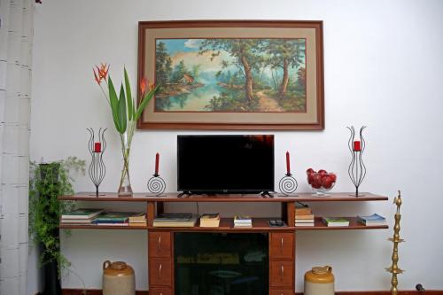 a tv on a shelf with a painting on the wall at Villa Perpetua in Bandarawela