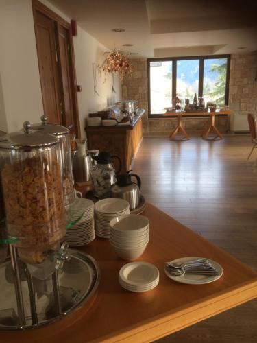 a kitchen with a counter with plates and a blender at Styga Mountain Resort in Zarouchla