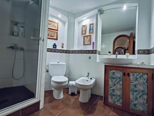Kúpeľňa v ubytovaní La Orotava vacational rental home