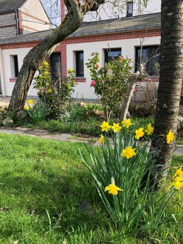 a garden of daffodils in front of a house at Les clés d'à côté - maison d'hôtes de charme près de Rouen in Sotteville-lès-Rouen