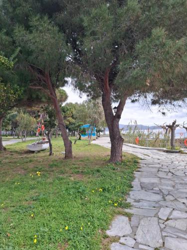 a park with trees and a stone path at Markella's apartment Karystos in Karistos