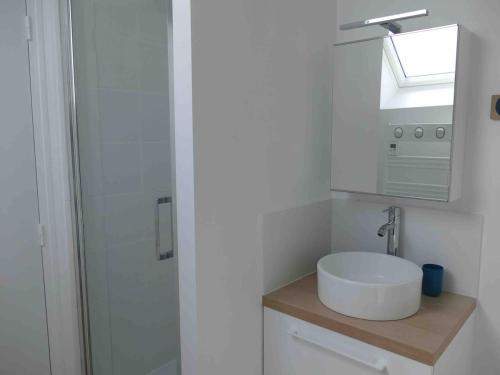 une salle de bain avec un lavabo, un miroir et une douche dans l'établissement Ker Augustine Maison de pecheur 3 étoiles Clévacances, à Lancieux