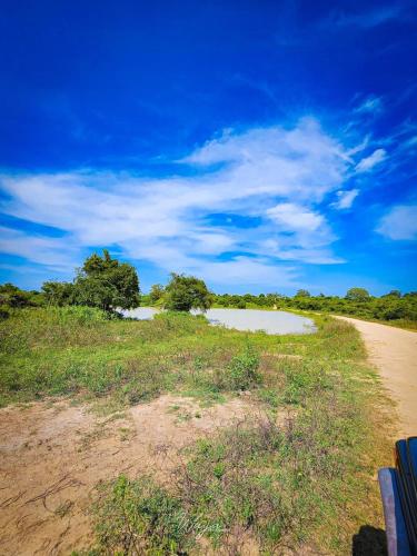 a dirt road next to a body of water at Little Cabanas Udawalawe in Udawalawe