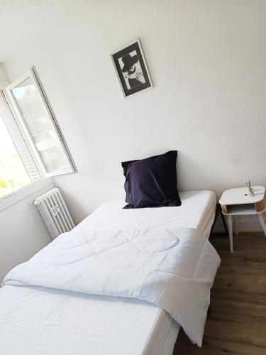 une chambre avec deux lits et une fenêtre dans l'établissement Chambre avec lit double, à Besançon