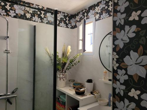 une salle de bain avec une douche, un lavabo et un miroir dans l'établissement NAUZAN PLAGE de VAUX SUR MER, à Vaux-sur-Mer