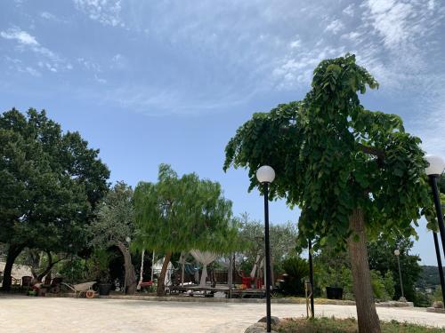 a tree in a park with a street light at oasi di pace fasano BIS in Fasano