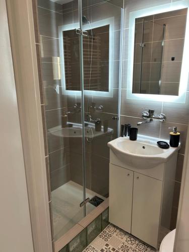 a bathroom with a glass shower and a sink at Cherry Street Apartment in Wolsztyn