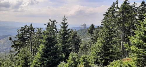 Φυσικό τοπίο κοντά σε αυτός ο ξενώνας