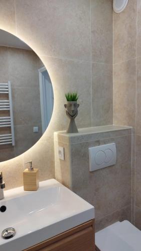 une salle de bain avec un lavabo et un miroir dans l'établissement Appartement cosy sur la French Riviera, à Nice