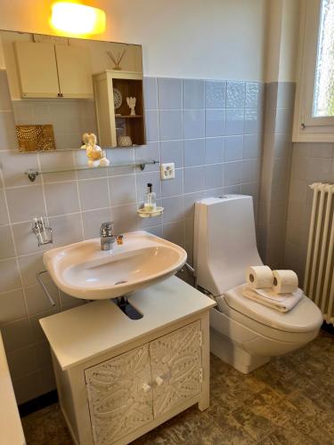 ein Badezimmer mit Waschbecken und Toilette in der Unterkunft Rest for the Soul in Brissago