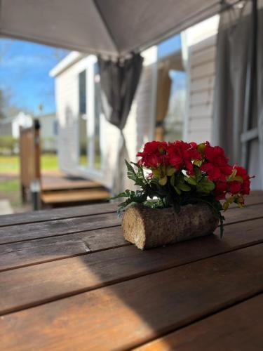 Parc Résidentiel à La Cotinière, Piscine, proche Plage, Nature & Calme