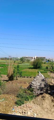 a large rock in a field with a building in the background at Peacefull in Zirakpur