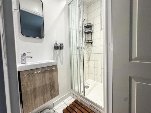 une salle de bain avec une douche, un lavabo et un miroir dans l'établissement Parisien Élégant & Calme, à Paris