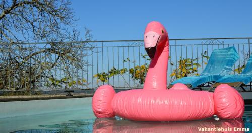 un flamingo gonflable rose est assis dans une piscine dans l'établissement Vakantiehuis Emma Monflanquin, à Monflanquin