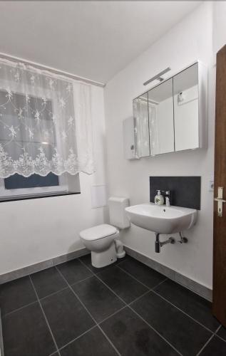 a white bathroom with a toilet and a sink at W.I.L.A. in Helmbrechts