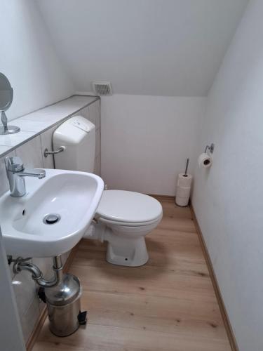 a bathroom with a white toilet and a sink at Gästezimmer / Weingut Peter in Wachenheim an der Weinstraße