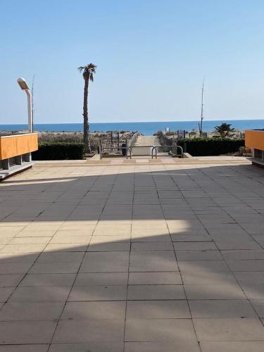 un parc avec des bancs, un palmier et l'océan dans l'établissement Bella vista ,accès direct plage, front de mer, vue mer panoramique, au Barcarès