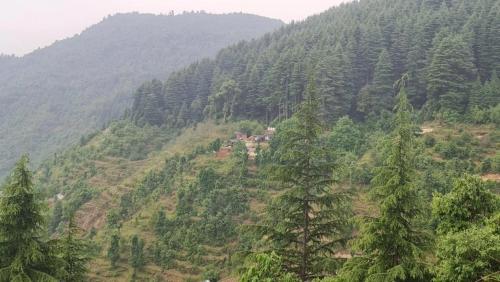 a view of a mountain with trees on it at Navira Hills Kanatal in Kanatal