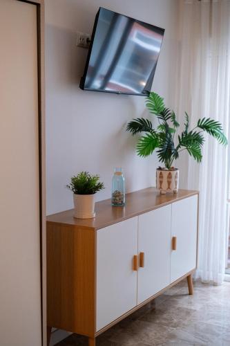 a tv on top of a dresser with plants on it at Loft on the beach and a few steps from downtown in Torremolinos