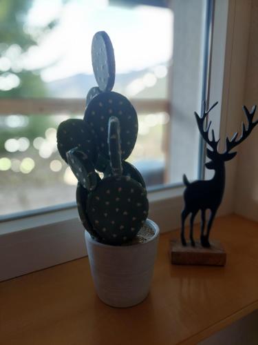 a plant sitting on a table next to a window at Huber's Lodge in Hainzenberg