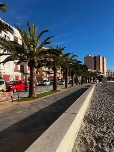 a row of palm trees on a sidewalk next to a street at La Perla del Pinatar in San Pedro del Pinatar