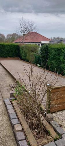 Photo de la galerie de l'établissement Maison avec terrain de pétanque, à Wimille