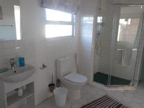 a bathroom with a shower and a toilet and a sink at CoCo de Mer Self Catering Log 1 in Lambertʼs Bay