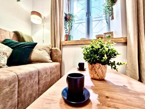 a living room with a couch and a table with a plant at Central Park Lublin in Lublin