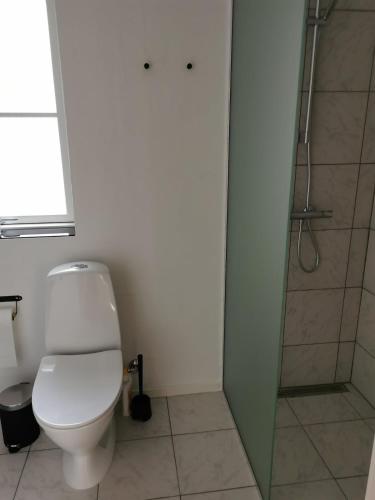 a bathroom with a toilet and a shower at Ferielejlighed in Nibe
