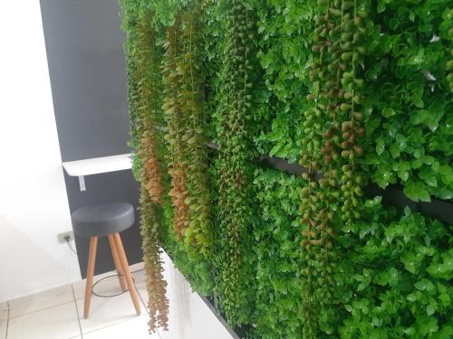 Κήπος έξω από το kitnet no jardim Matilde com ar e garagem