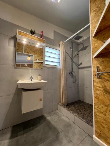 a bathroom with a sink and a shower at Lebon Coin Tranquille in Le Tampon