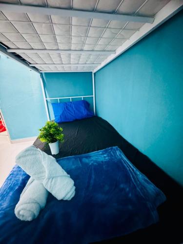 a blue room with a bed with a plant on it at Affordable 3BR for 8 pax Malaysian guest only Walk to Usm Netflix in Gelugor